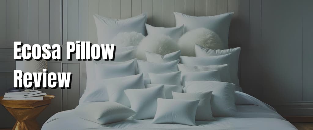 Ecosa Pillow Review.