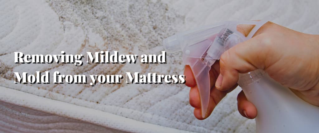 Removing Mildew and Mold from your Mattress